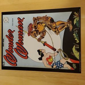 DC Wonder Woman # 18 Cover Poster
